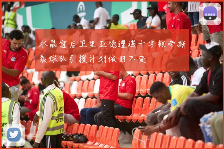 水晶宫后卫里亚德遭遇十字韧带撕裂球队引援计划依旧不变